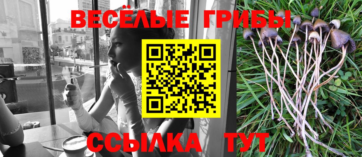 Галлюциногенные грибы Cubensis  Вход с VPN  Псилоцибиновые грибы GOLDEN TEACHER  Саранск 